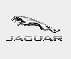 Frenosan logo jaguar